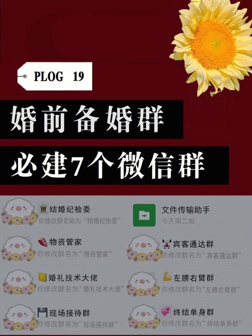 借卵试管代怀微信群(借卵试管代怀微信群，共享生育经验)
