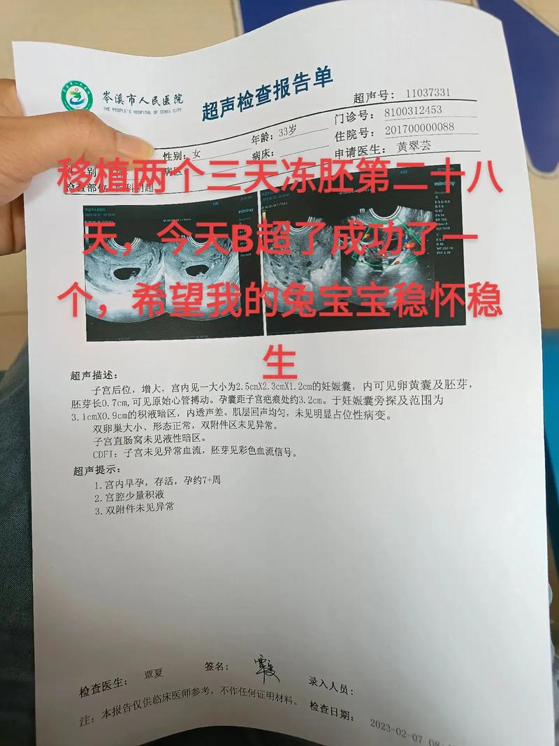 借卵试管代怀信息(借卵试管代怀：一种新的生育选择方式)