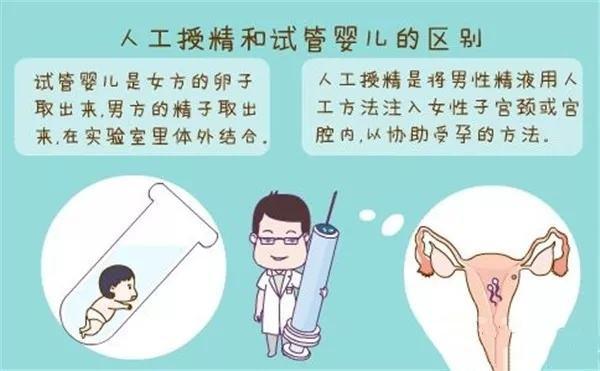 借卵试管代怀服务_借卵试管代怀服务:助您圆梦生育