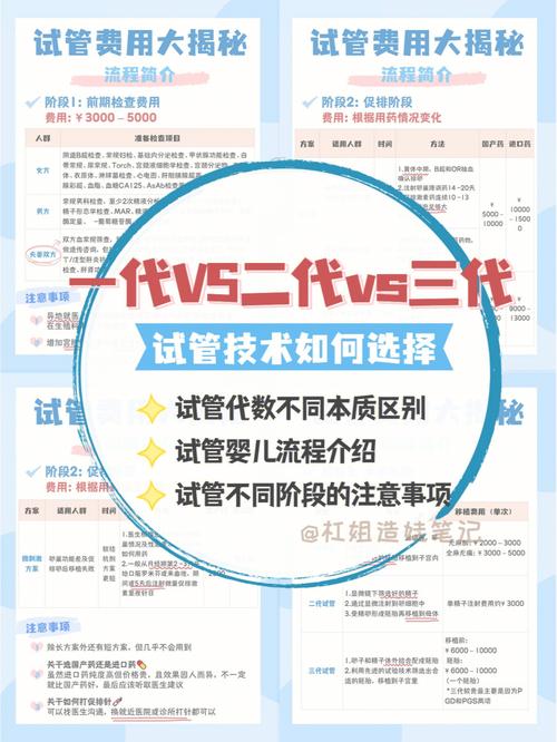 借卵试管代怀合同-借卵试管代怀合同:权利与责任