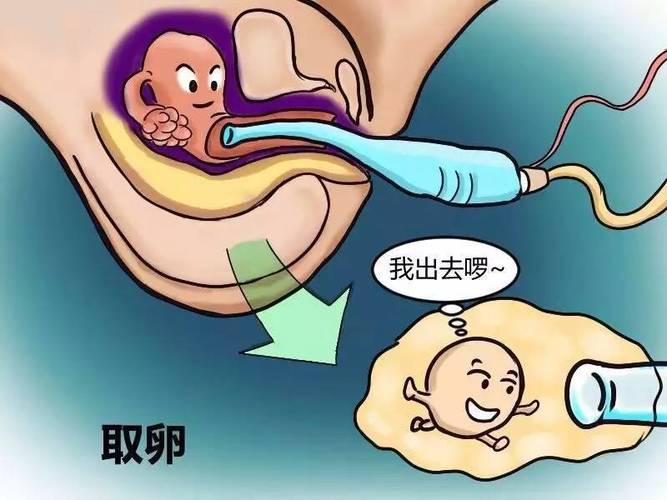 借卵试管代怀零风险(借卵试管代怀零风险,安心选择生育方式)